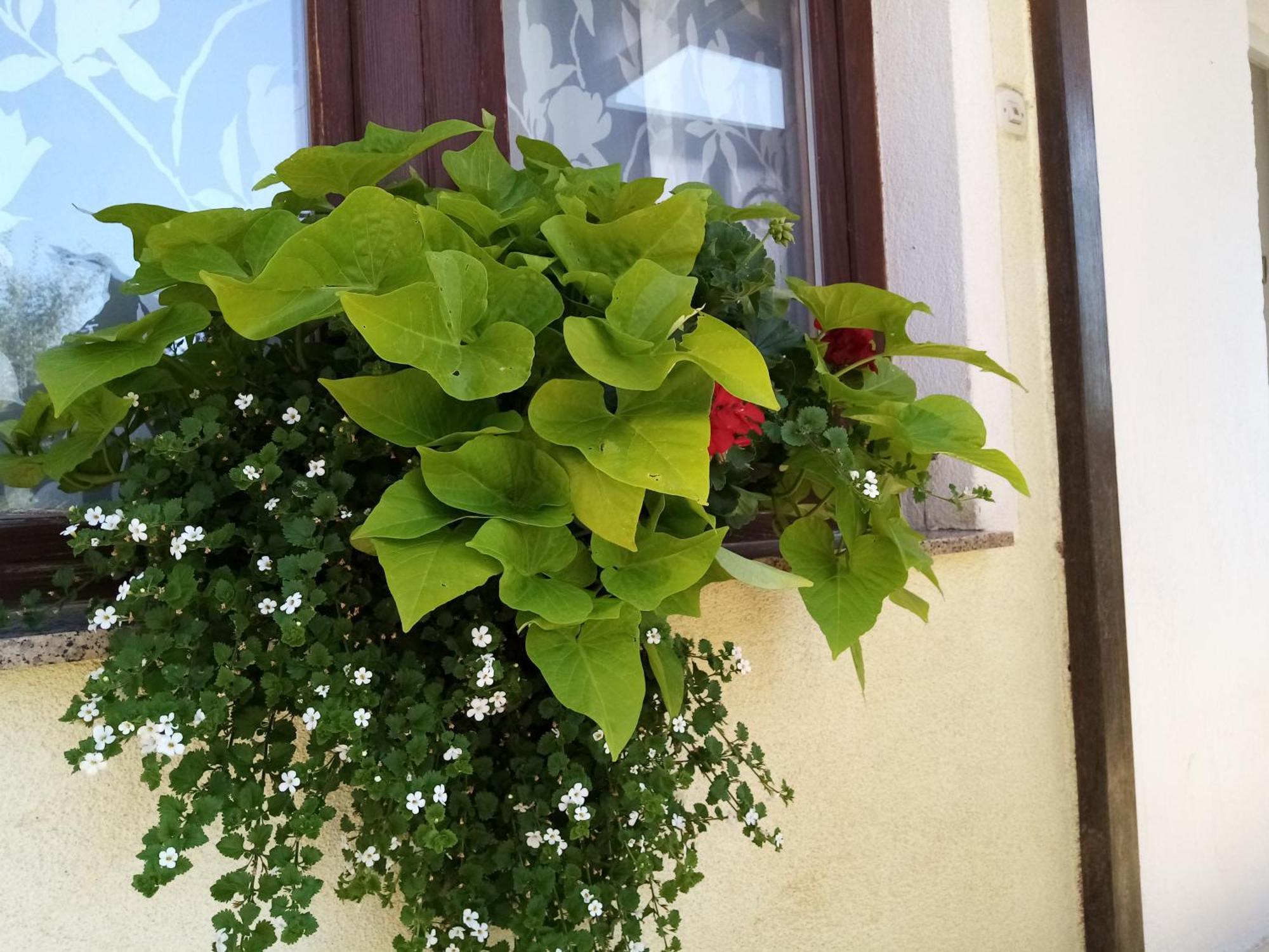Hotel House Josipa Rakovica Exterior foto